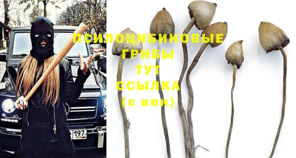 эйфоретик Нязепетровск