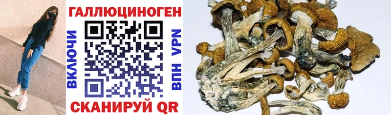 Псилоцибиновые грибы MAGIC MUSHROOMS  Купить где  Зубцов 