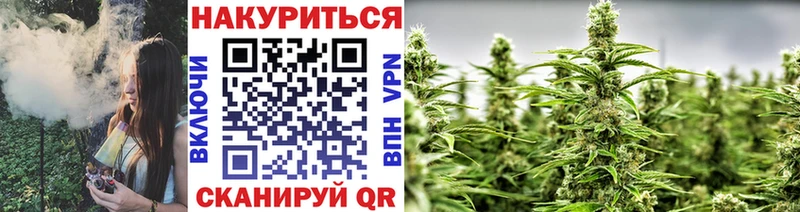 Канабис сатива Зубцов